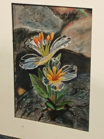 Dominique Papirer - ébauche